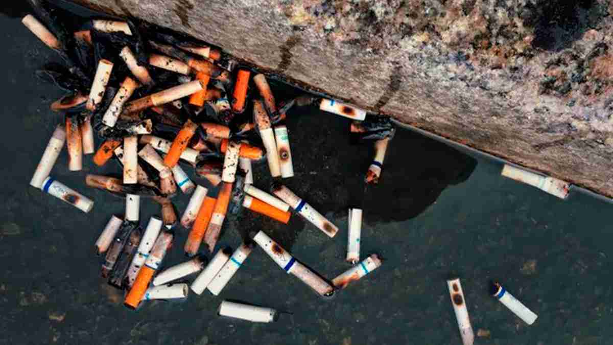colillas de cigarrillo en el suelo.